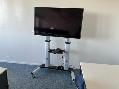 Overview picture of LG television on mobile stand